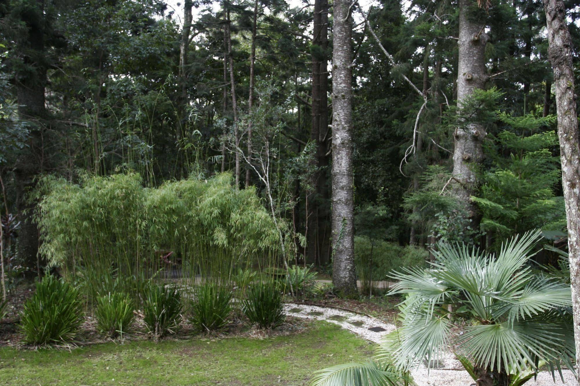 Azabu Retreat & Spa Byron Bay Extérieur photo